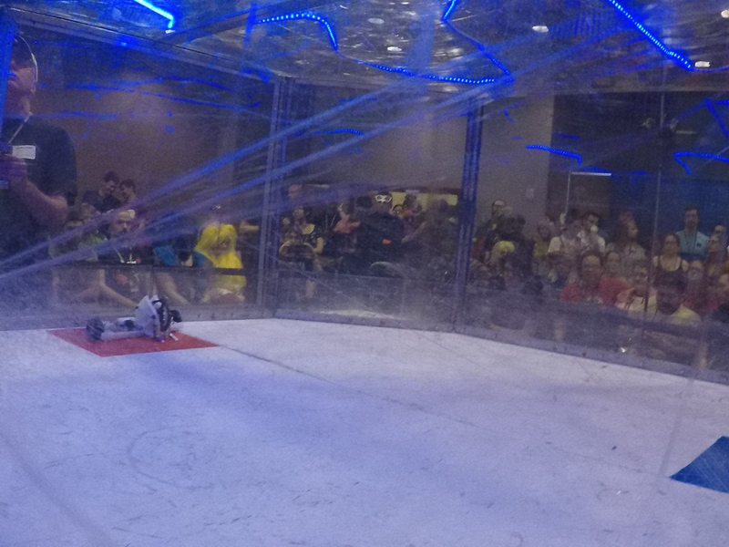 Bettleweight Dempsey Roll, Team Andrea's tiny robots\nprepares for battle