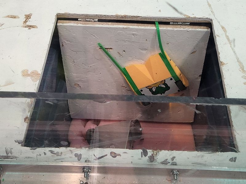 The Big Bill\n"Refuse To Die" Special Award.